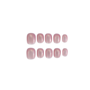 Rose Shell