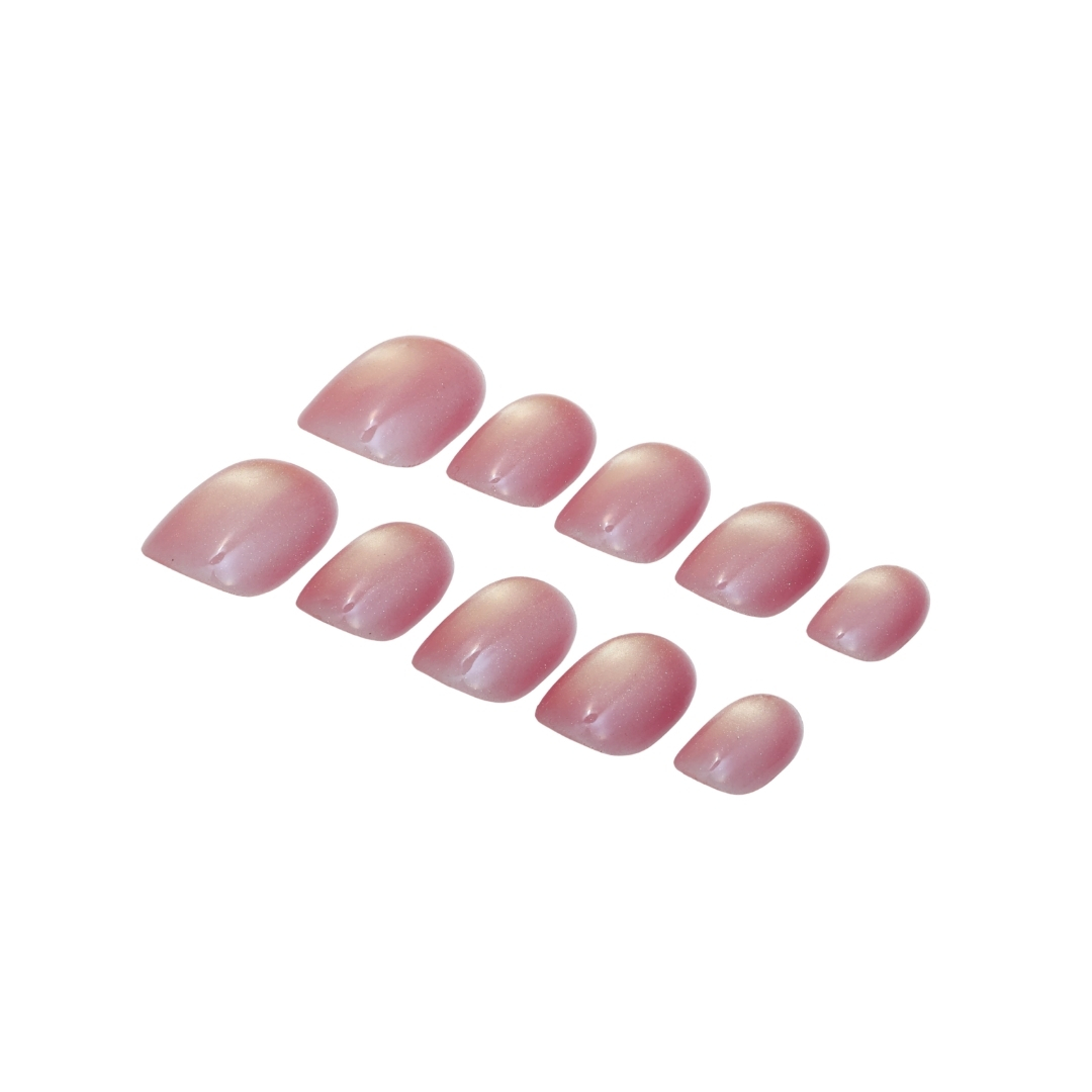 Rose Shell - Image 2