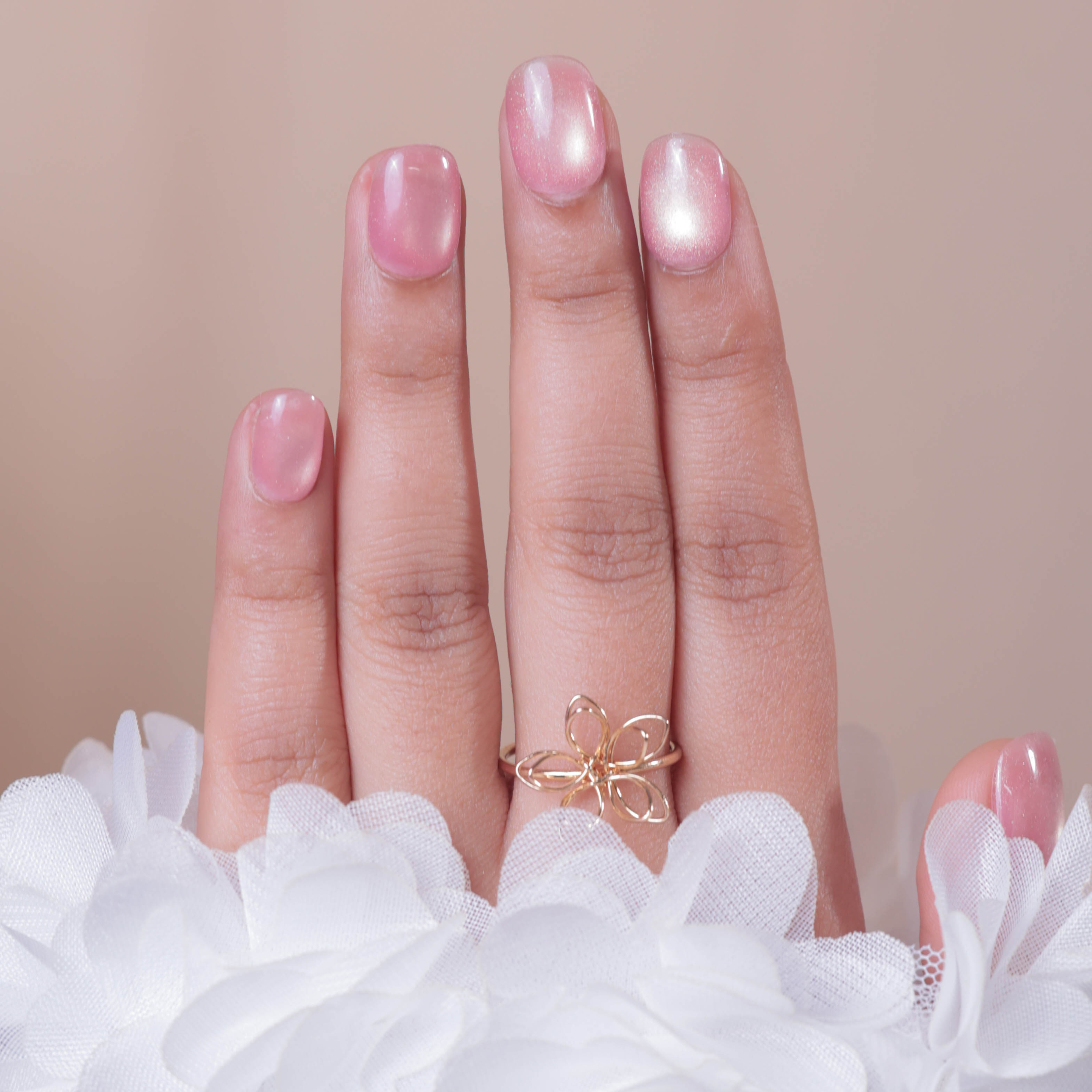 Rose Shell - Image 3